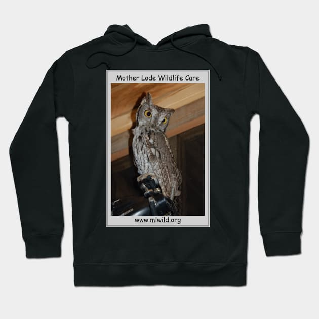 Western Screech Owl Hoodie by mlwildlifecare